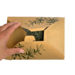 Airplant Suprise Box