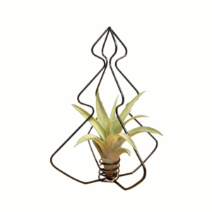 X-mas Tree Black with Airplant