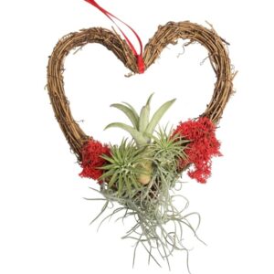 DIY: Heart-shaped Wreath with Airplants