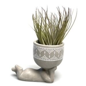 Lazy Airplantman Weiß mit Luftpflanze