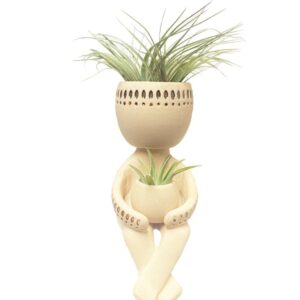 Swinging Airplant Man mit Tillandsia