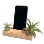 Telefonhalter mit Luftpflanzen