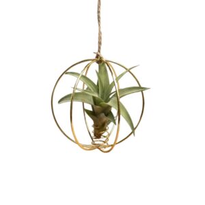 X-Mass ball goud met airplant