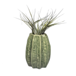 Lichtgroene Carambola Airplant